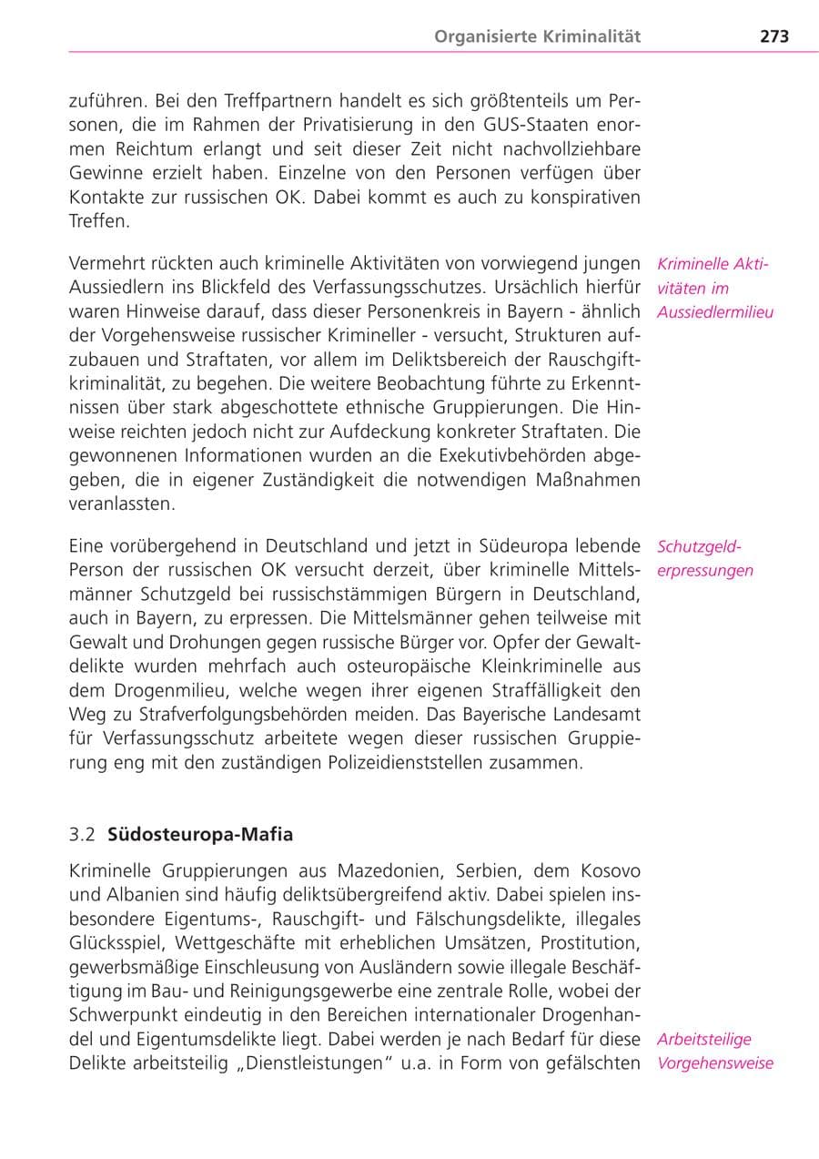 Seite 273 des Verfassungsschutzbericht 2004 Bayern
