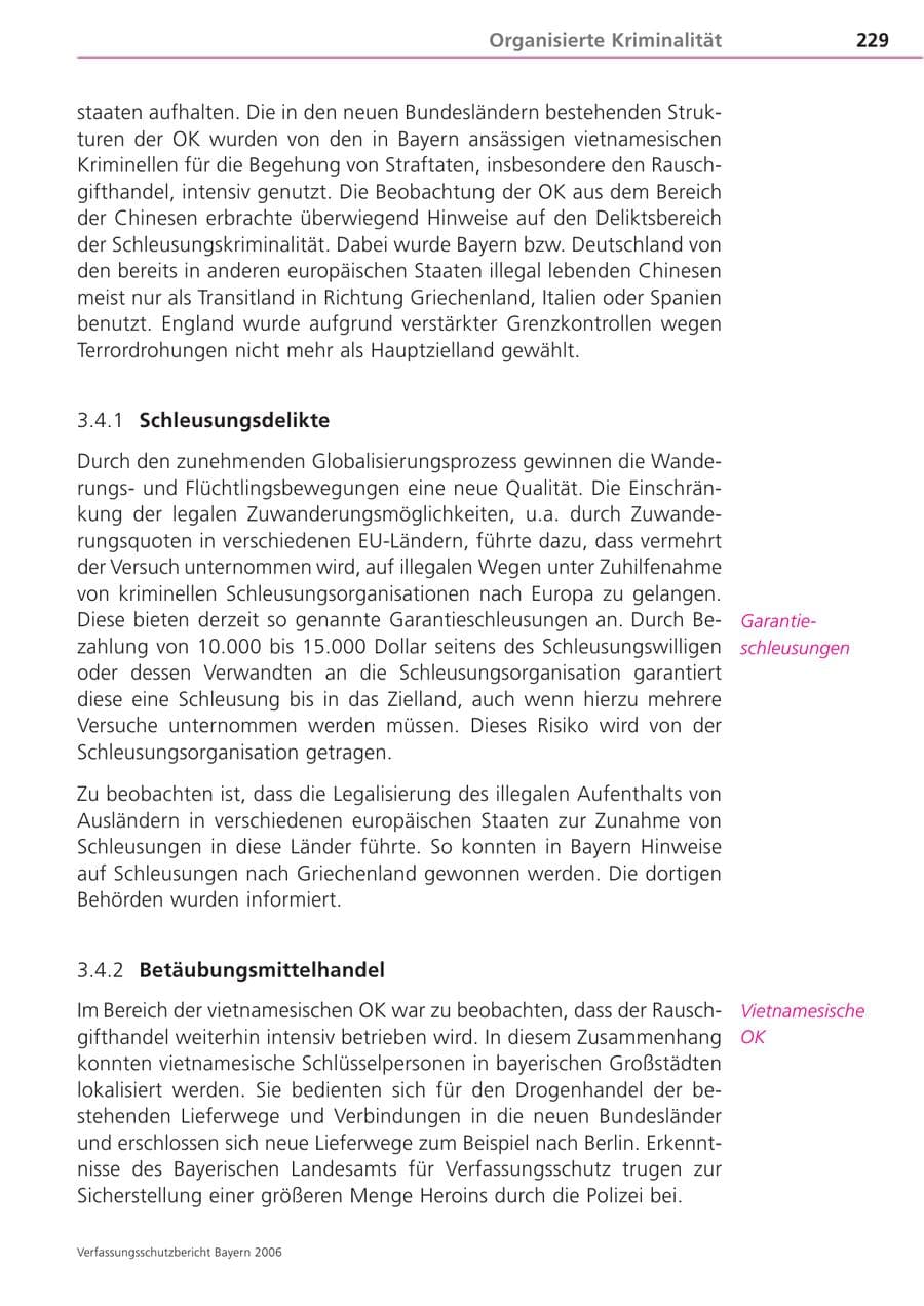 Seite 229 des Verfassungsschutzbericht 2006 Bayern
