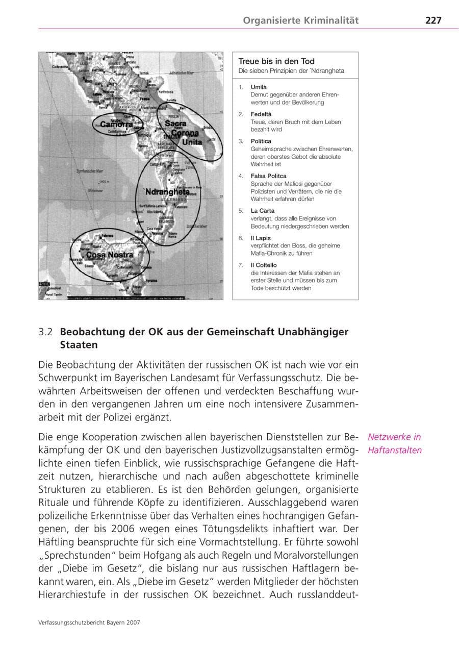 Seite 227 des Verfassungsschutzbericht 2007 Bayern