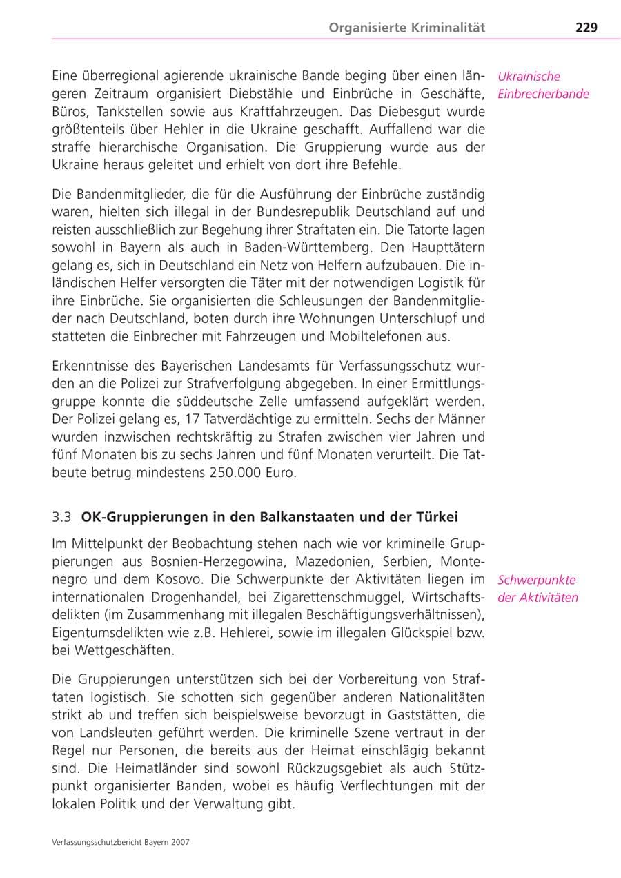 Seite 229 des Verfassungsschutzbericht 2007 Bayern