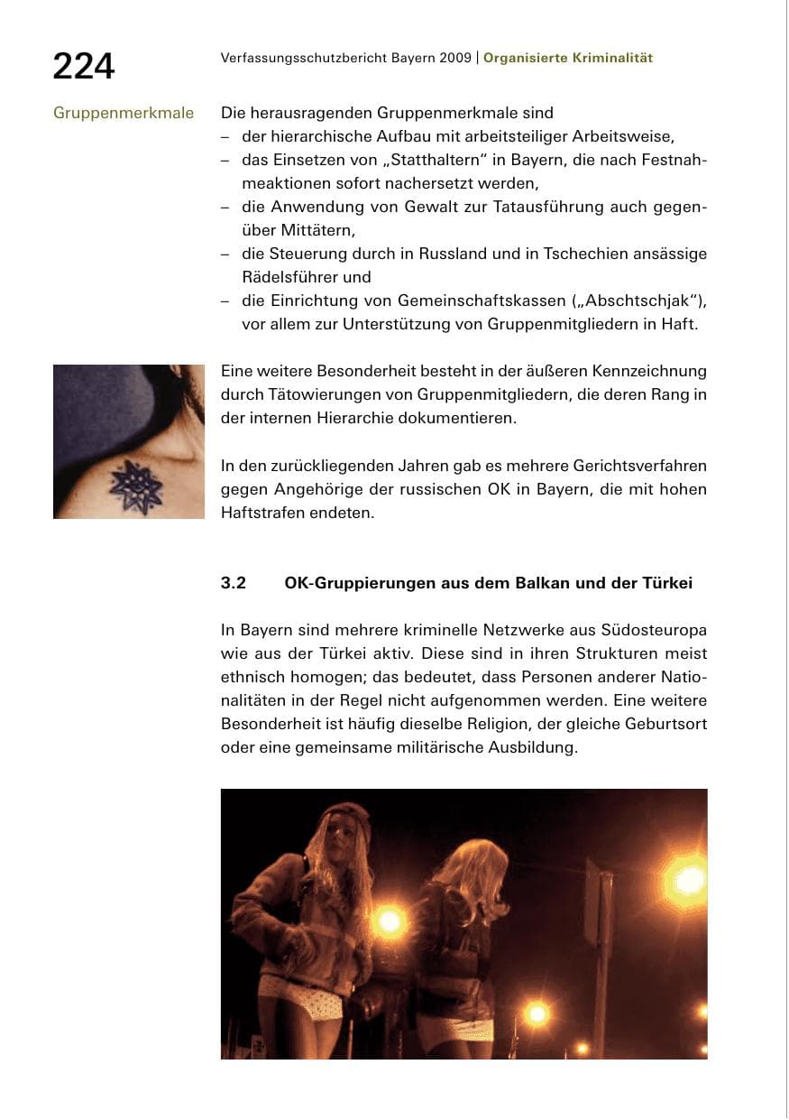 Seite 226 des Verfassungsschutzbericht 2009 Bayern