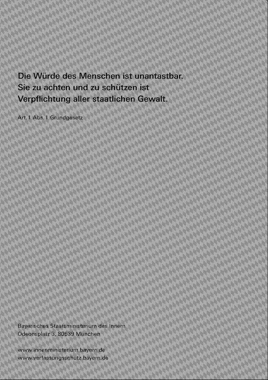 Seite 256 des Verfassungsschutzbericht 2009 Bayern