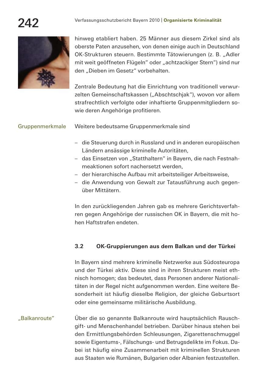Seite 244 des Verfassungsschutzbericht 2010 Bayern