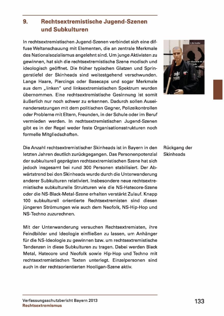 Seite 133 des Verfassungsschutzbericht 2013 Bayern