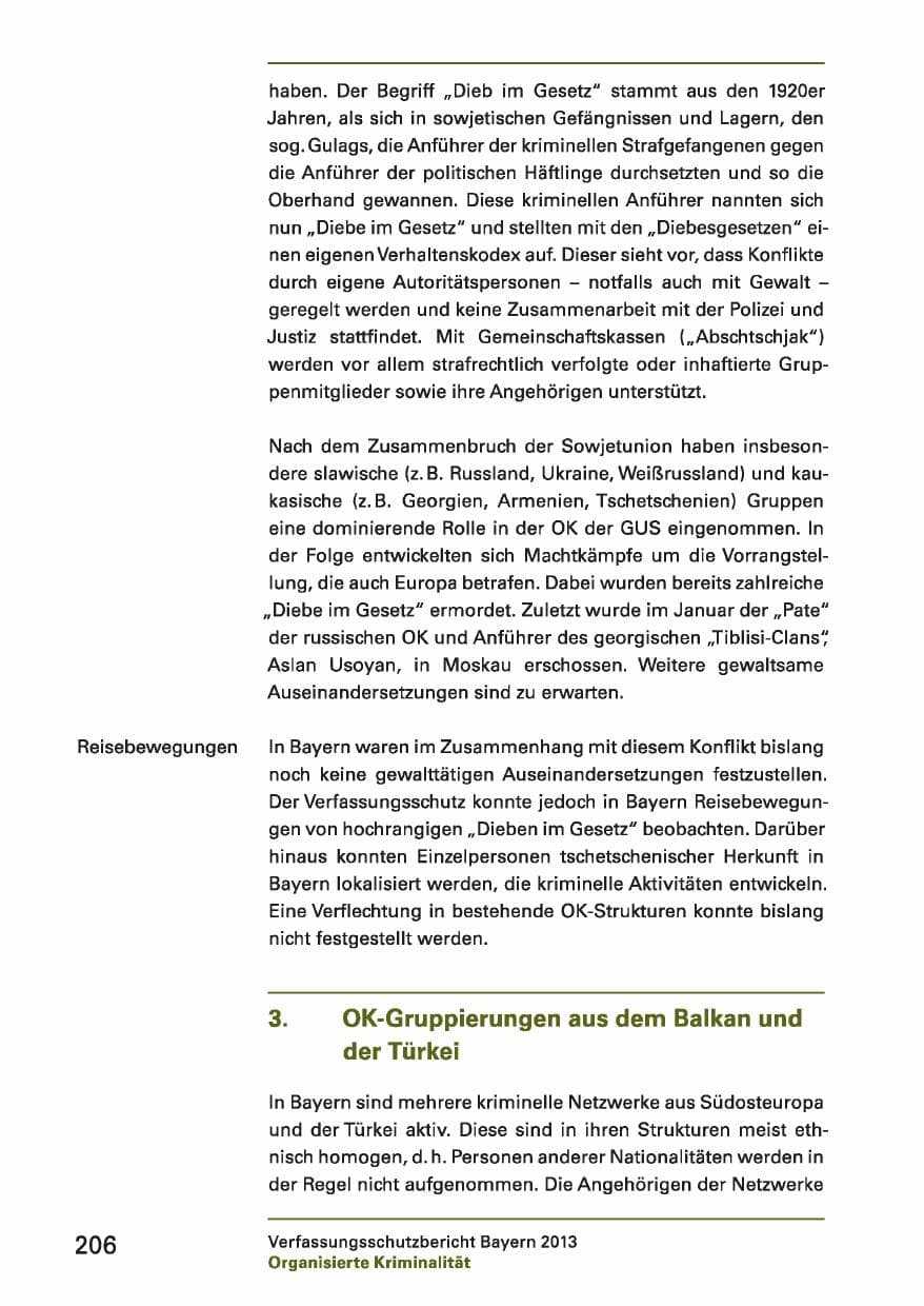 Seite 206 des Verfassungsschutzbericht 2013 Bayern