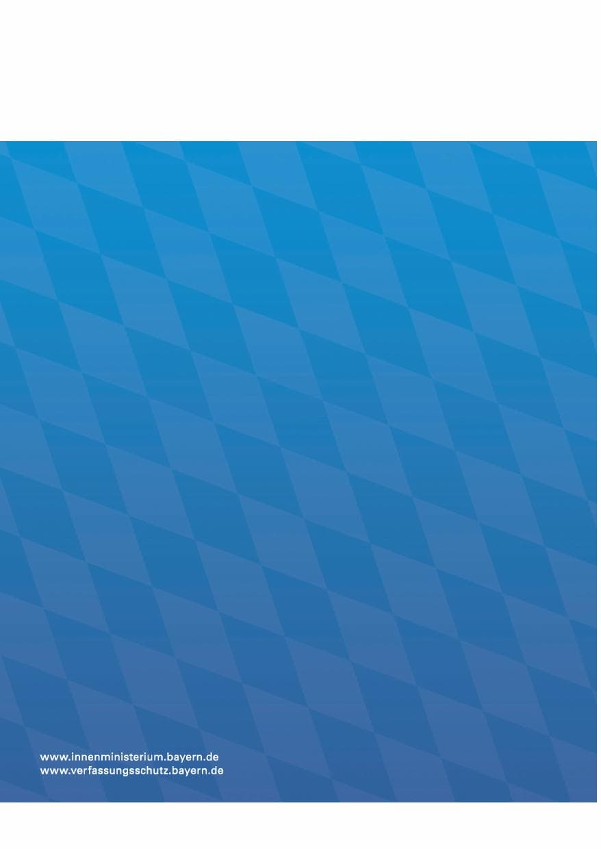 Seite 222 des Verfassungsschutzbericht 2013 Bayern