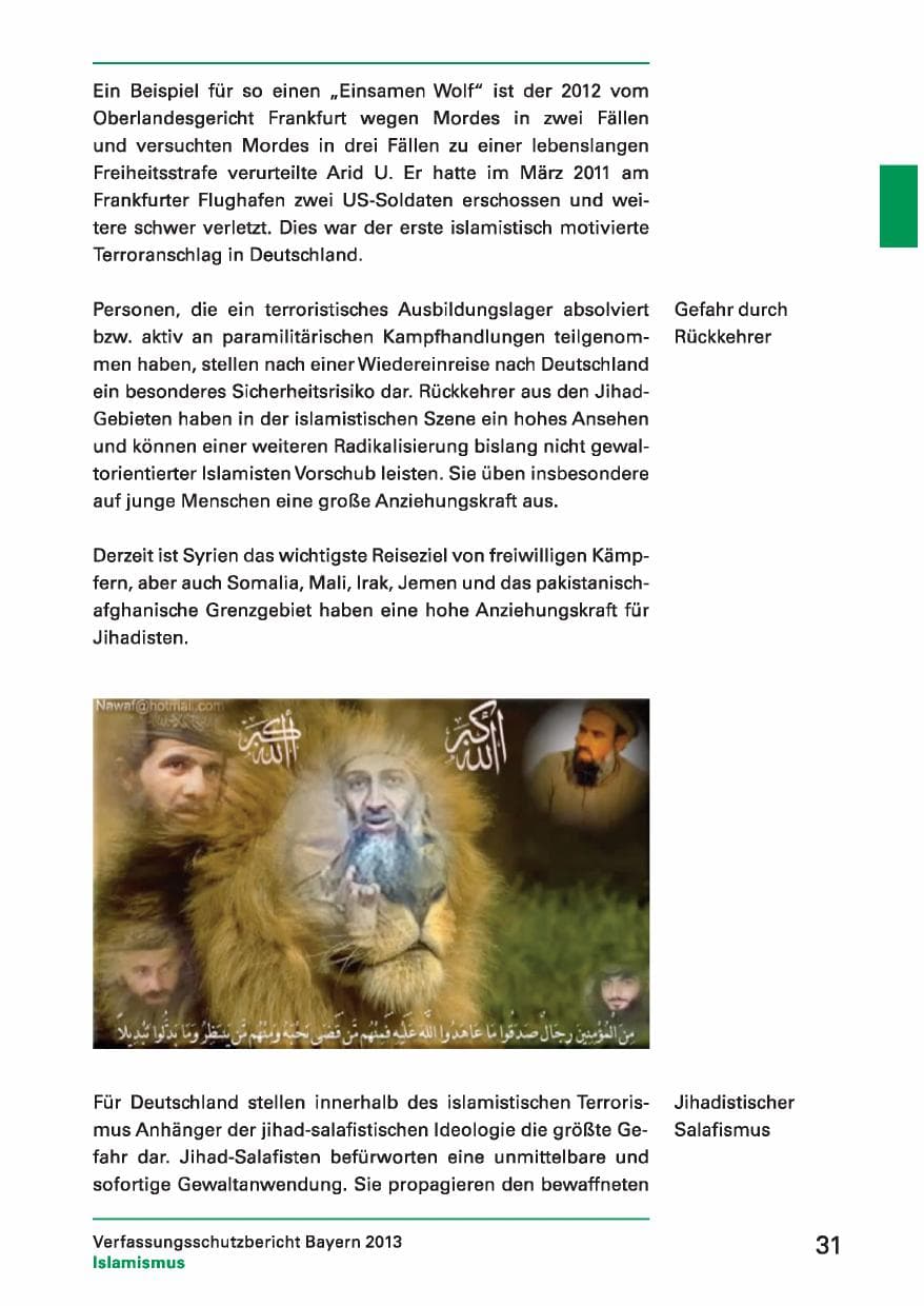 Seite 31 des Verfassungsschutzbericht 2013 Bayern