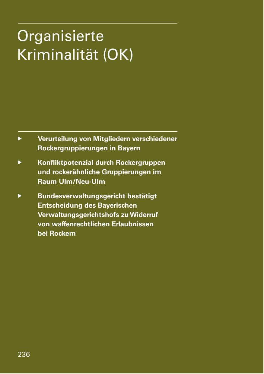 Seite 238 des Verfassungsschutzbericht 2015 Bayern