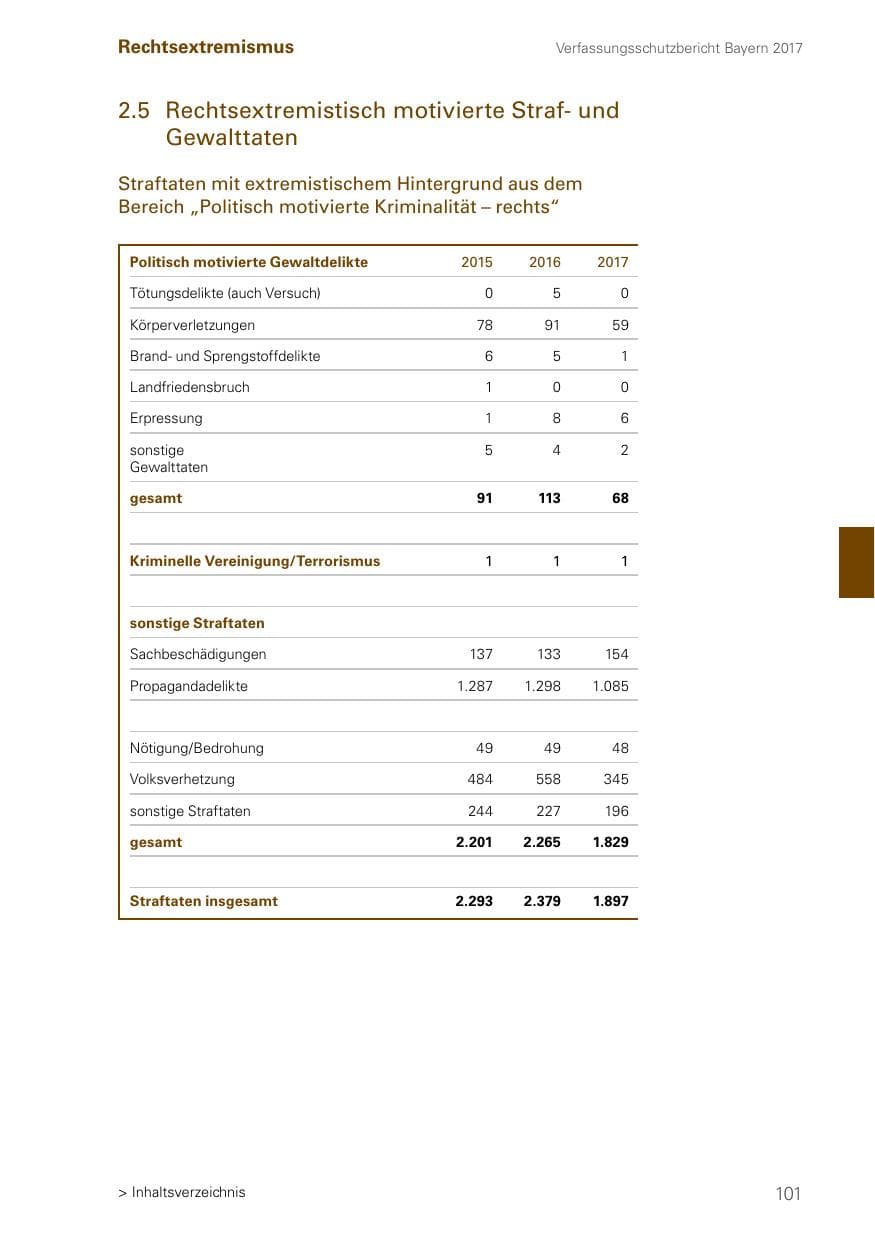 Seite 101 des Verfassungsschutzbericht 2017 Bayern