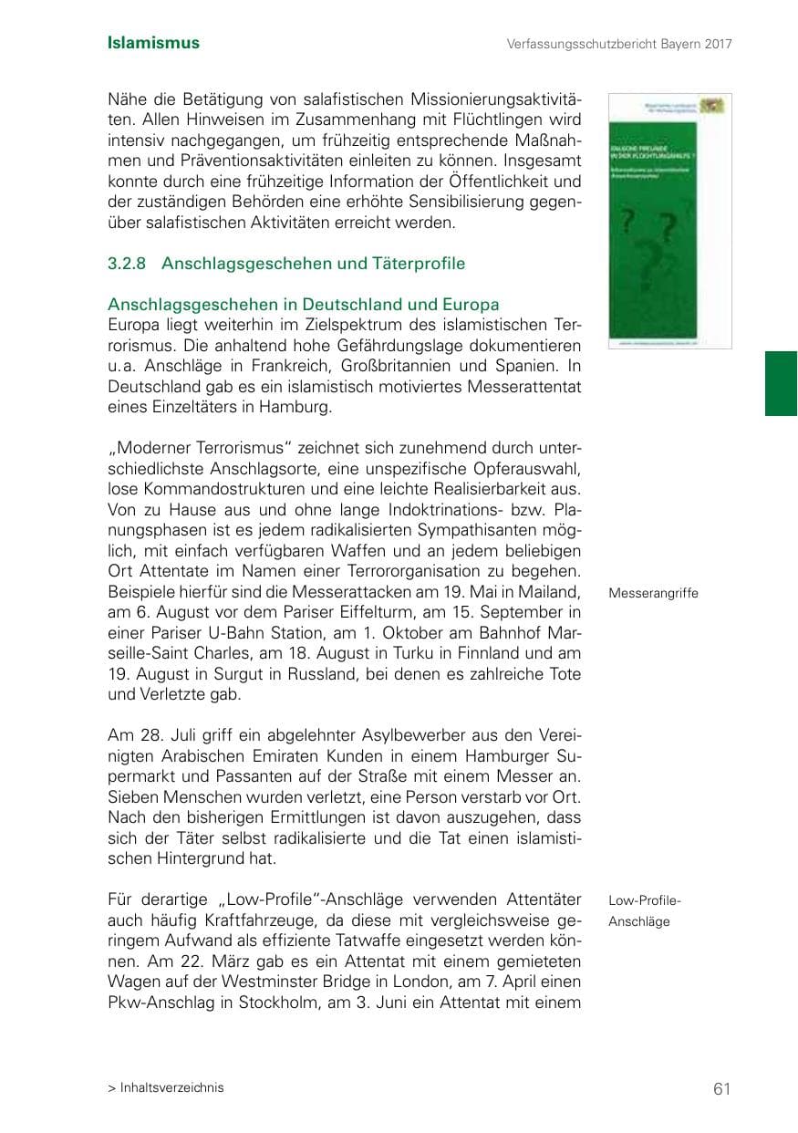 Seite 61 des Verfassungsschutzbericht 2017 Bayern
