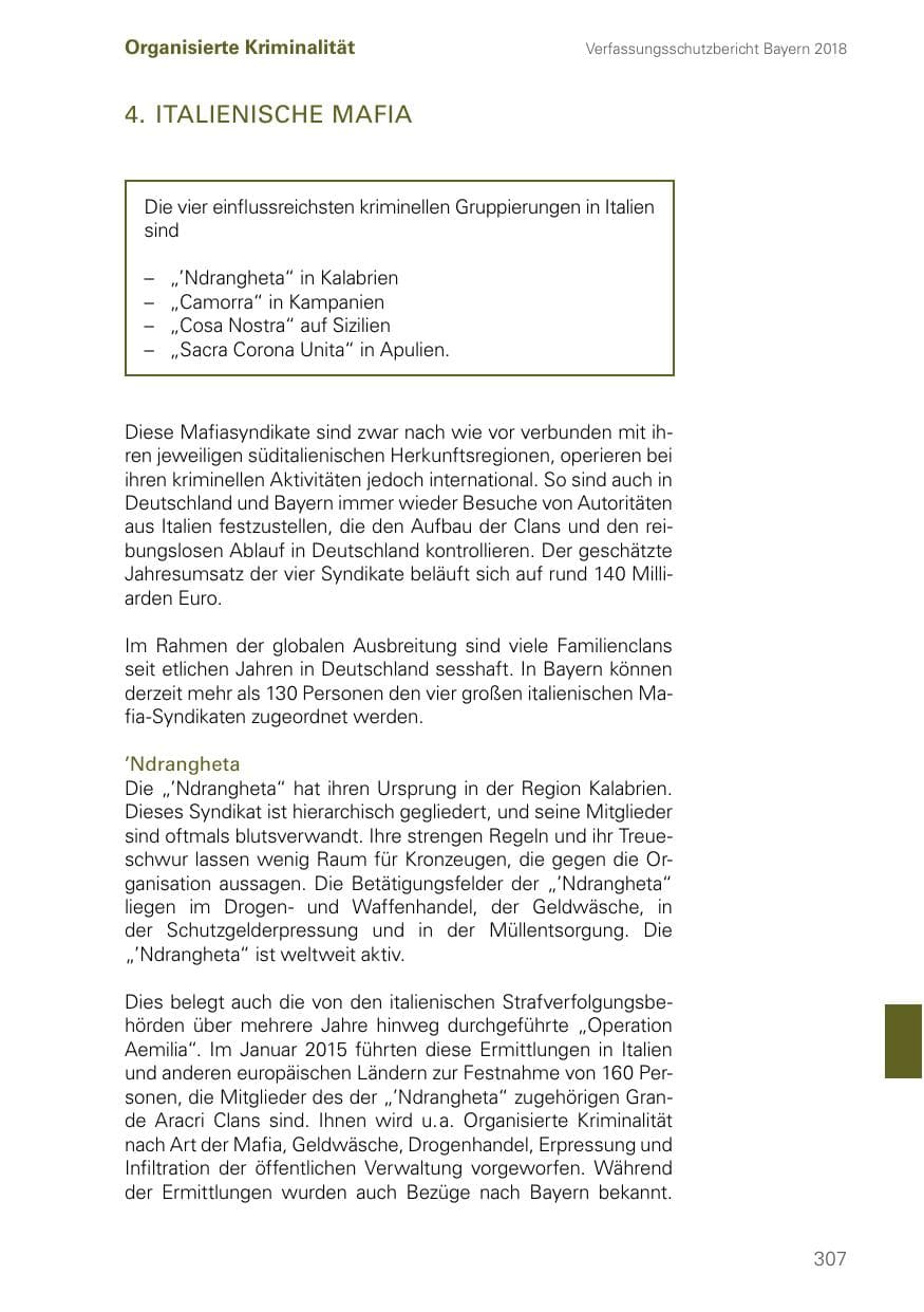Seite 307 des Verfassungsschutzbericht 2018 Bayern
