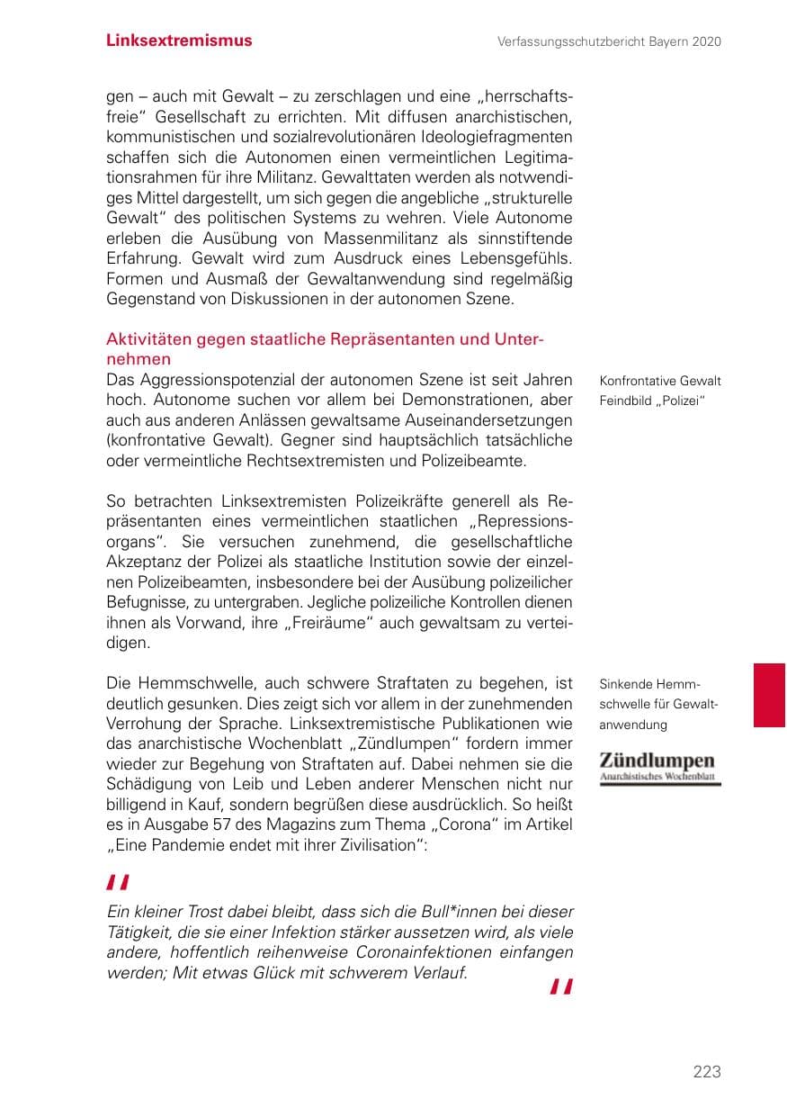 Seite 223 des Verfassungsschutzbericht 2020 Bayern