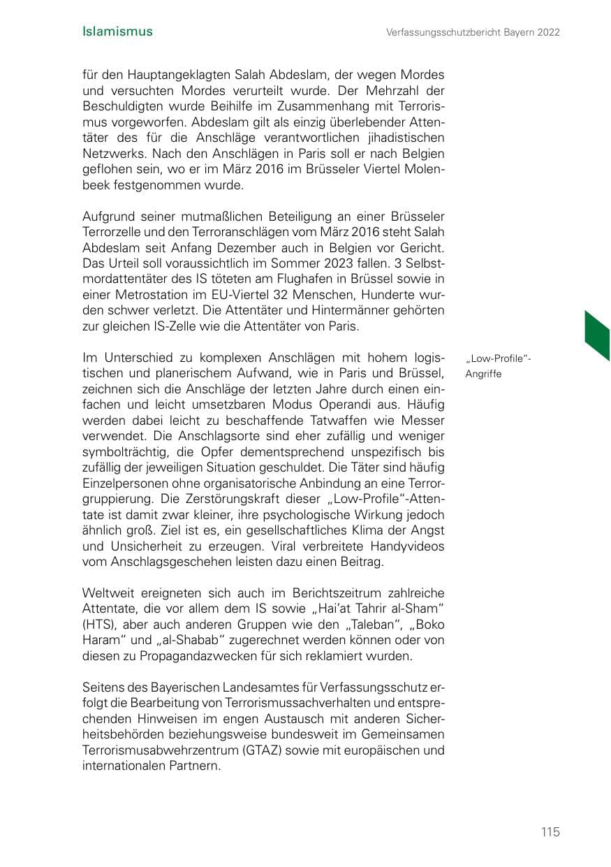Seite 115 des Verfassungsschutzbericht 2022 Bayern