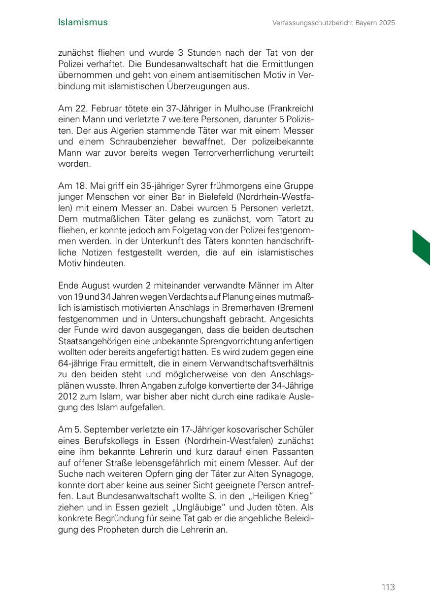 Seite 113 des Verfassungsschutzbericht 2025 Bayern