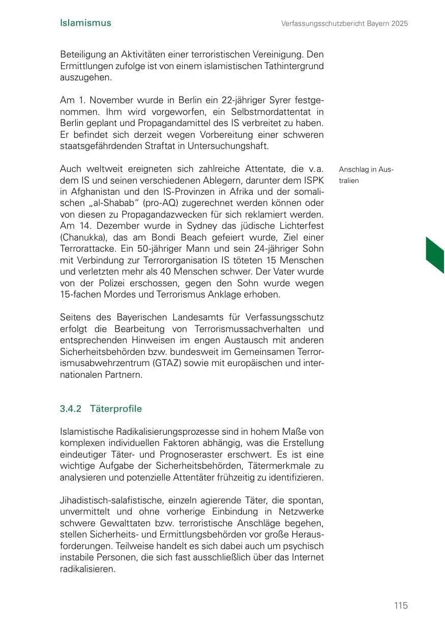 Seite 115 des Verfassungsschutzbericht 2025 Bayern
