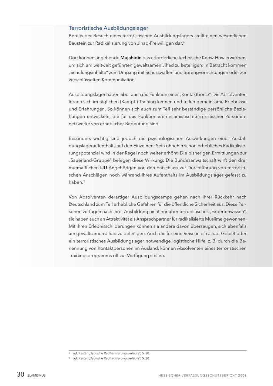 Seite 31 des Verfassungsschutzbericht 2008 Hessen