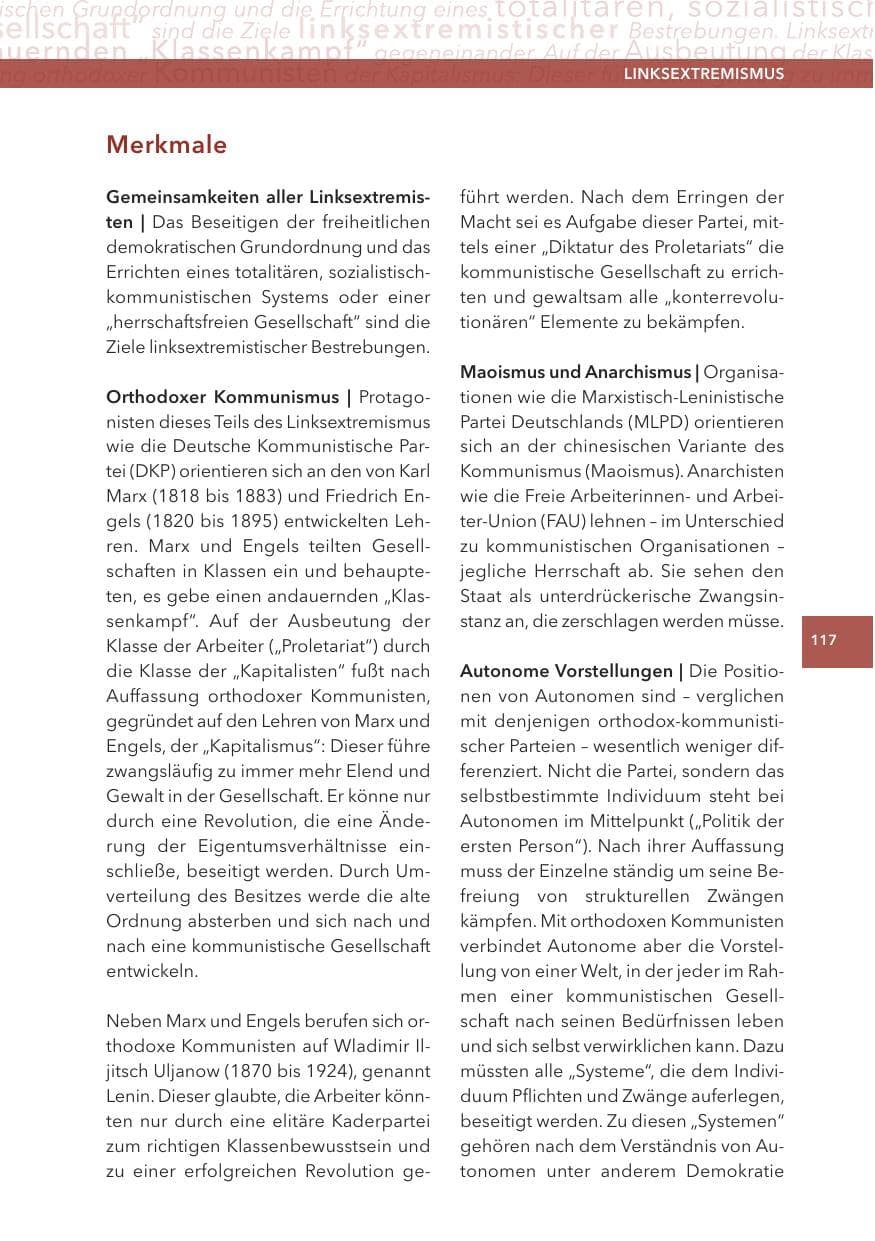 Seite 117 des Verfassungsschutzbericht 2013 Hessen