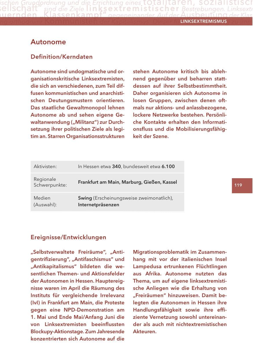 Seite 119 des Verfassungsschutzbericht 2013 Hessen
