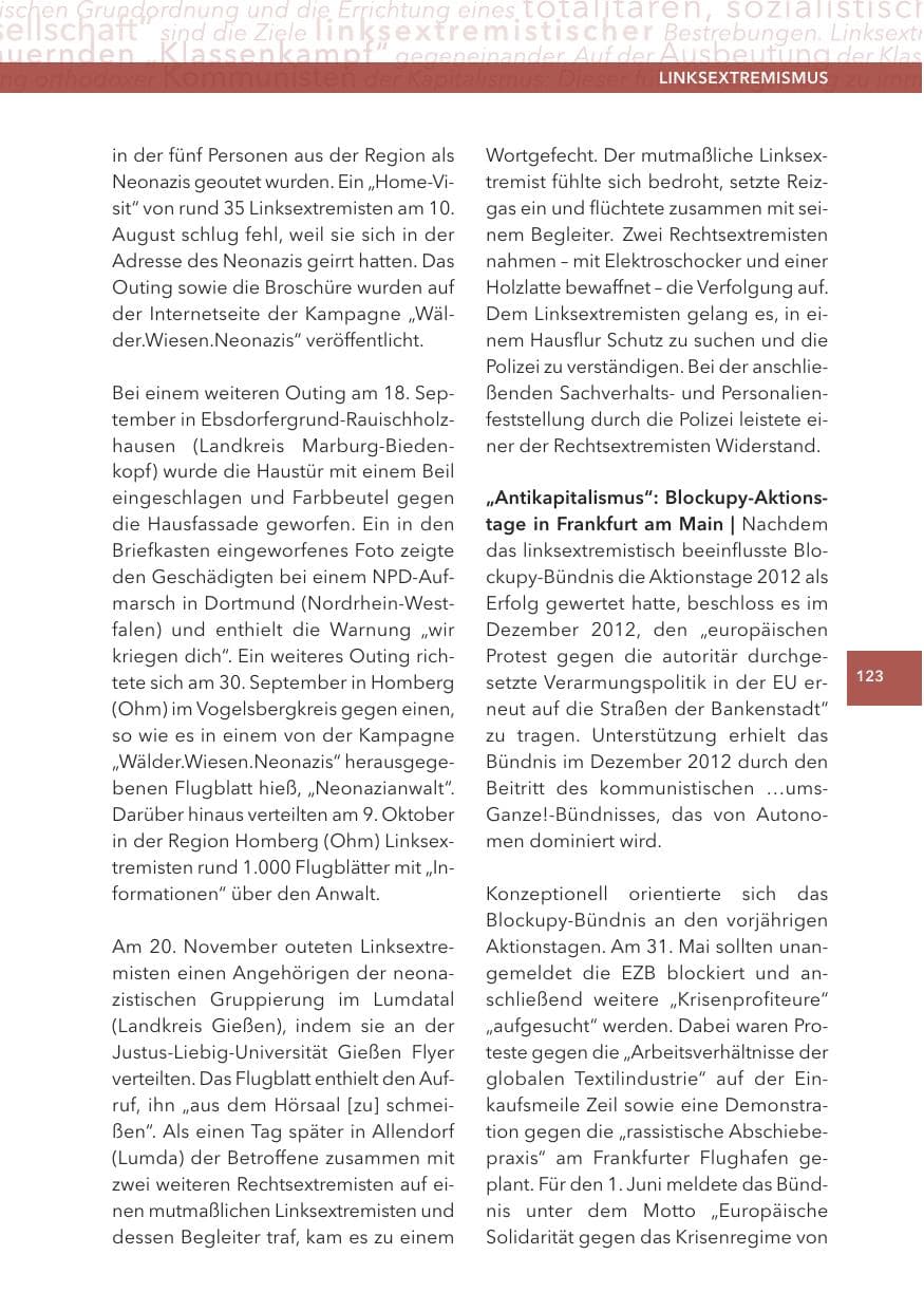 Seite 123 des Verfassungsschutzbericht 2013 Hessen