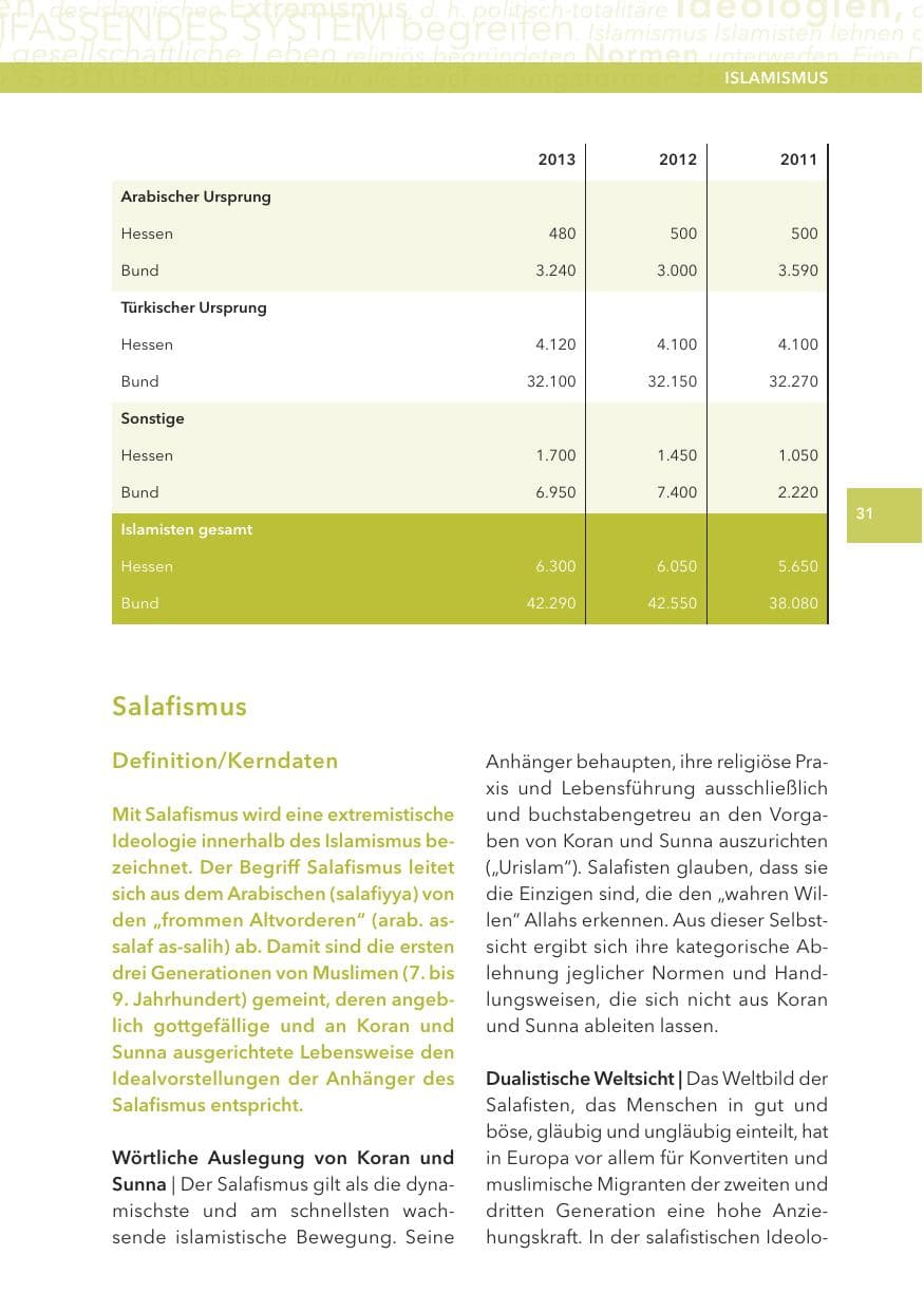 Seite 31 des Verfassungsschutzbericht 2013 Hessen