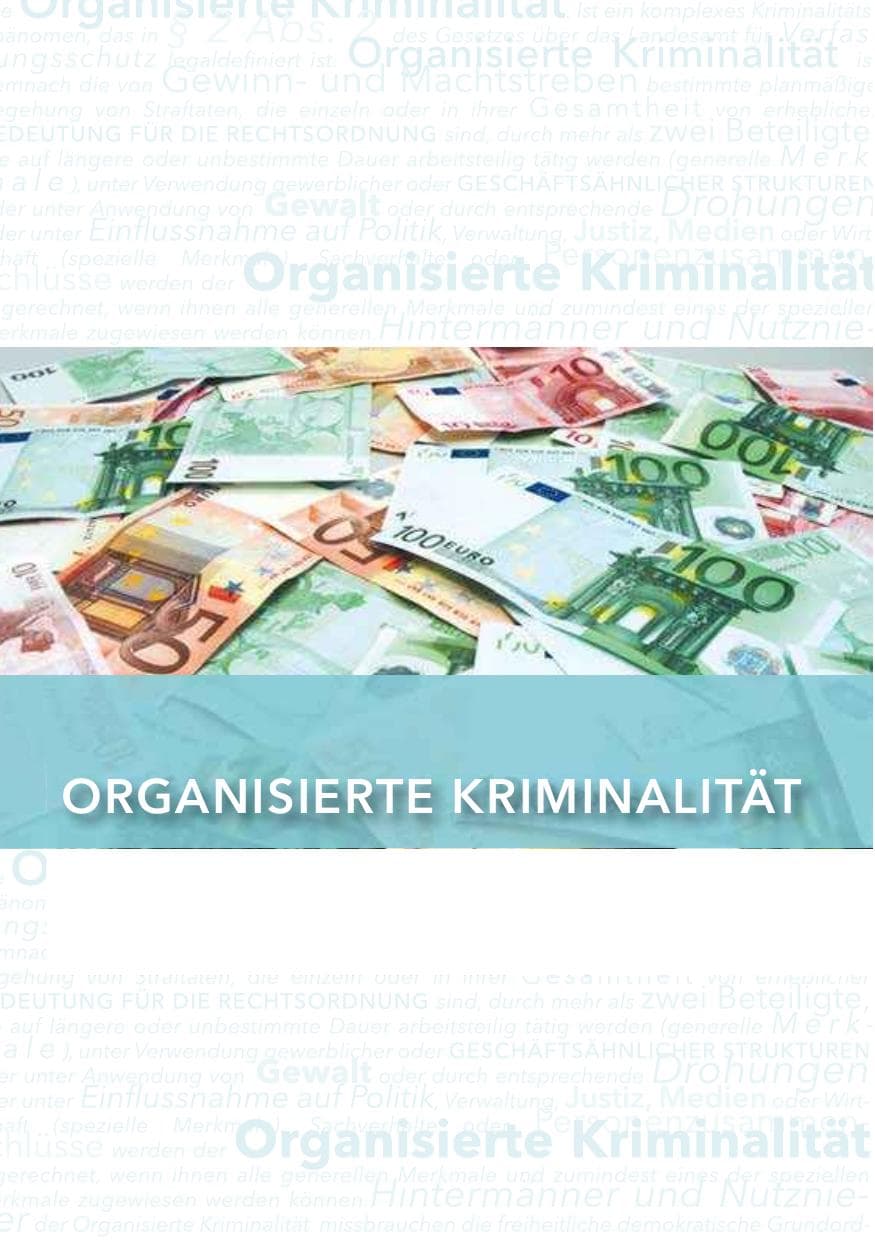 Seite 133 des Verfassungsschutzbericht 2014 Hessen