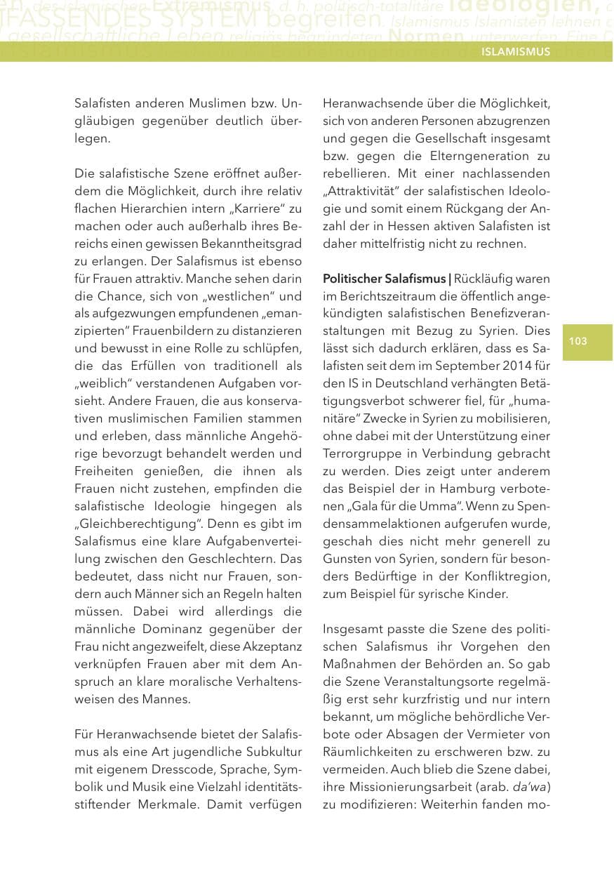 Seite 103 des Verfassungsschutzbericht 2015 Hessen