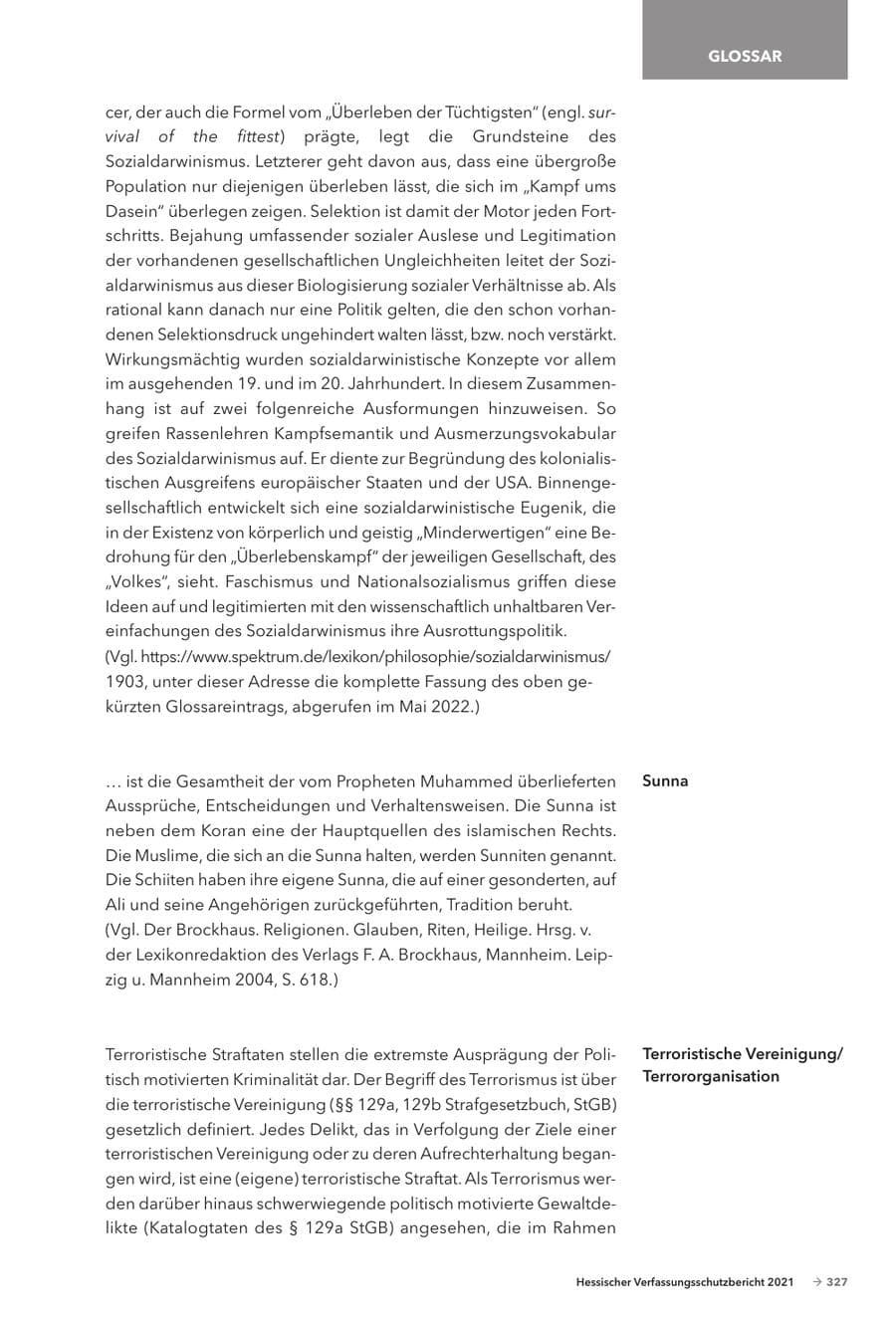 Seite 329 des Verfassungsschutzbericht 2021 Hessen