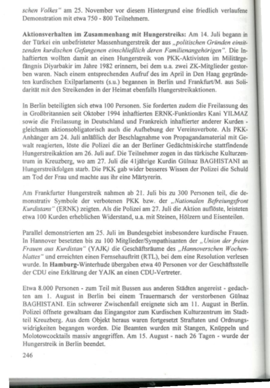 Seite 251 des Verfassungsschutzbericht 1995 Hamburg