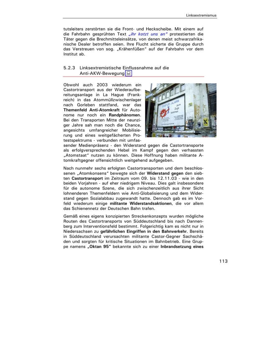 Seite 114 des Verfassungsschutzbericht 2003 Hamburg