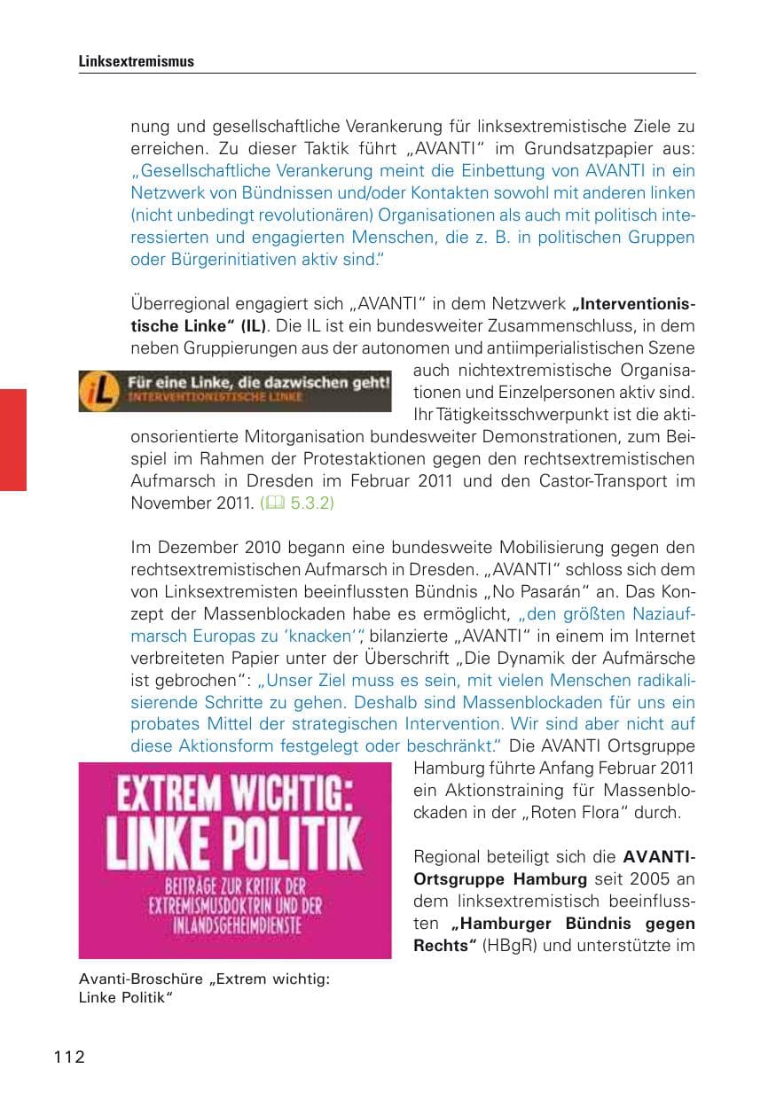 Seite 113 des Verfassungsschutzbericht 2011 Hamburg