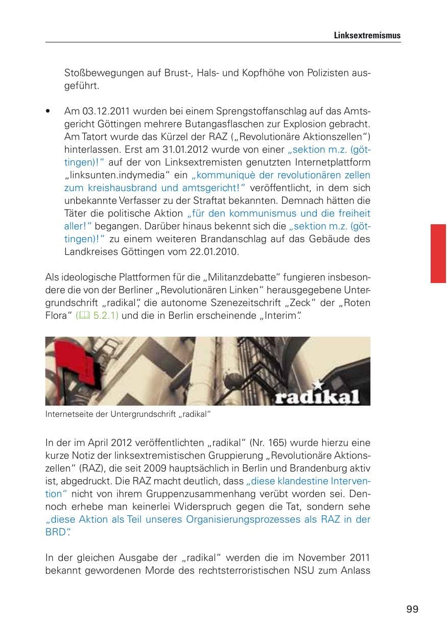 Seite 100 des Verfassungsschutzbericht 2012 Hamburg