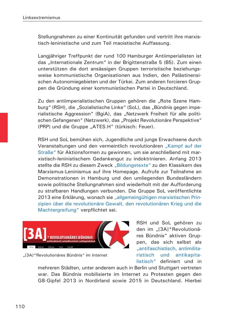 Seite 111 des Verfassungsschutzbericht 2013 Hamburg