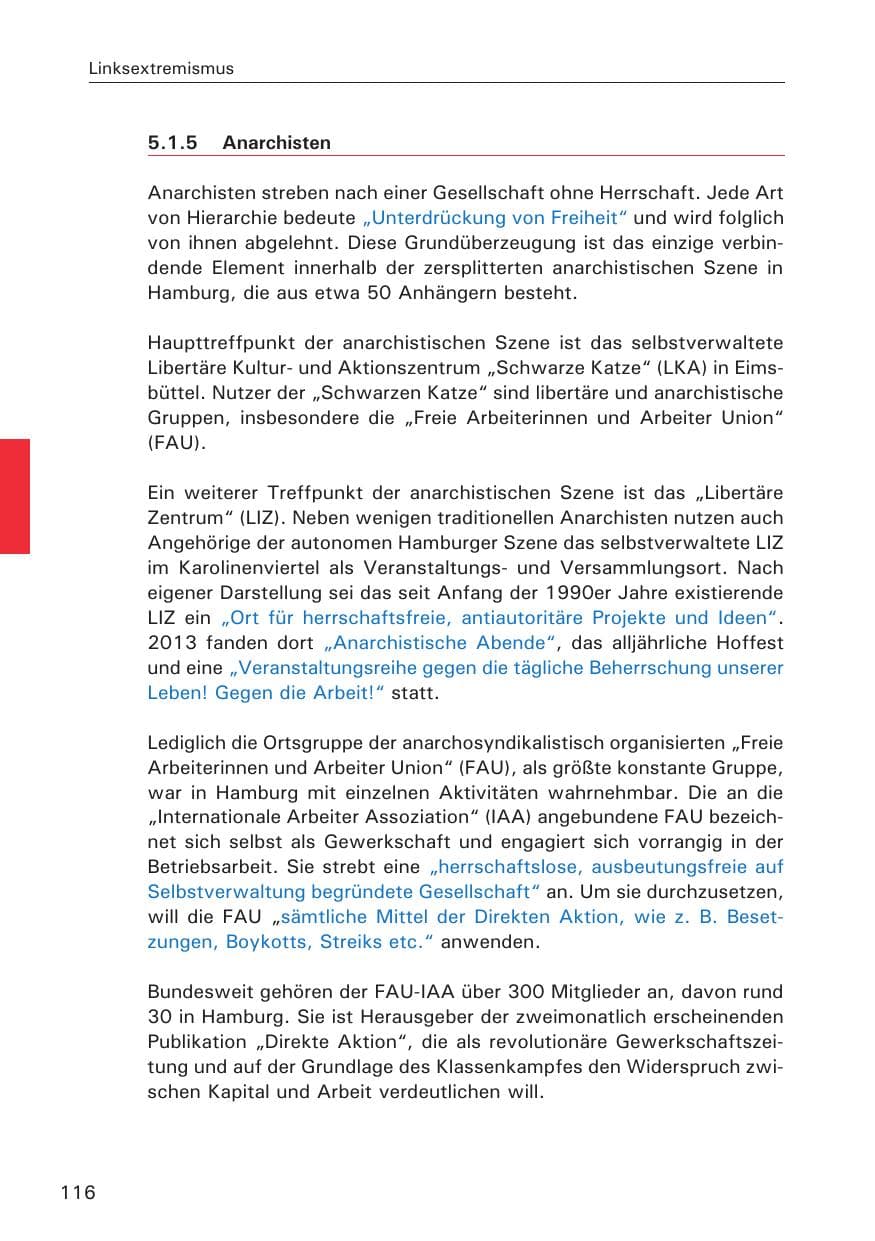 Seite 117 des Verfassungsschutzbericht 2013 Hamburg