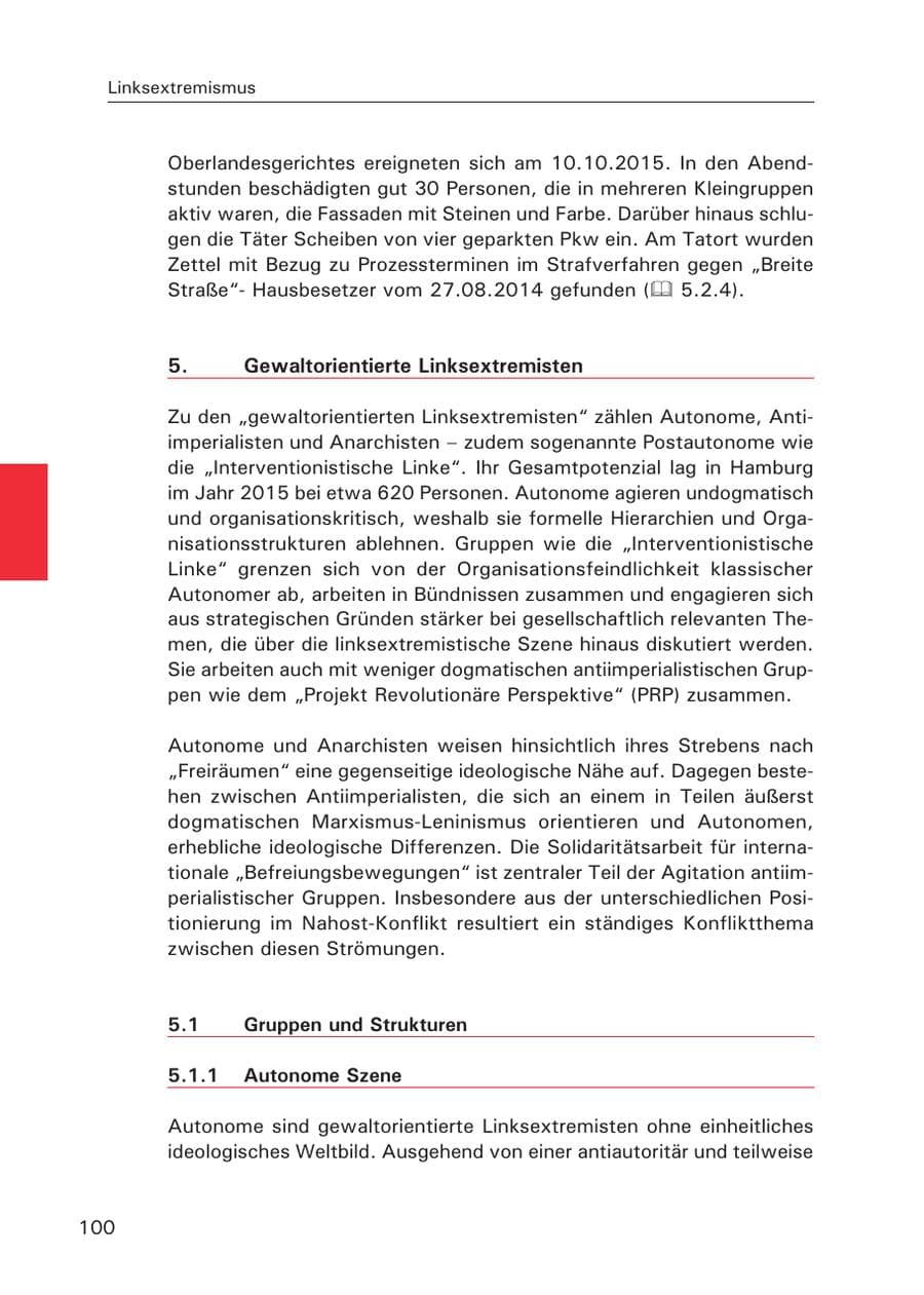 Seite 101 des Verfassungsschutzbericht 2015 Hamburg