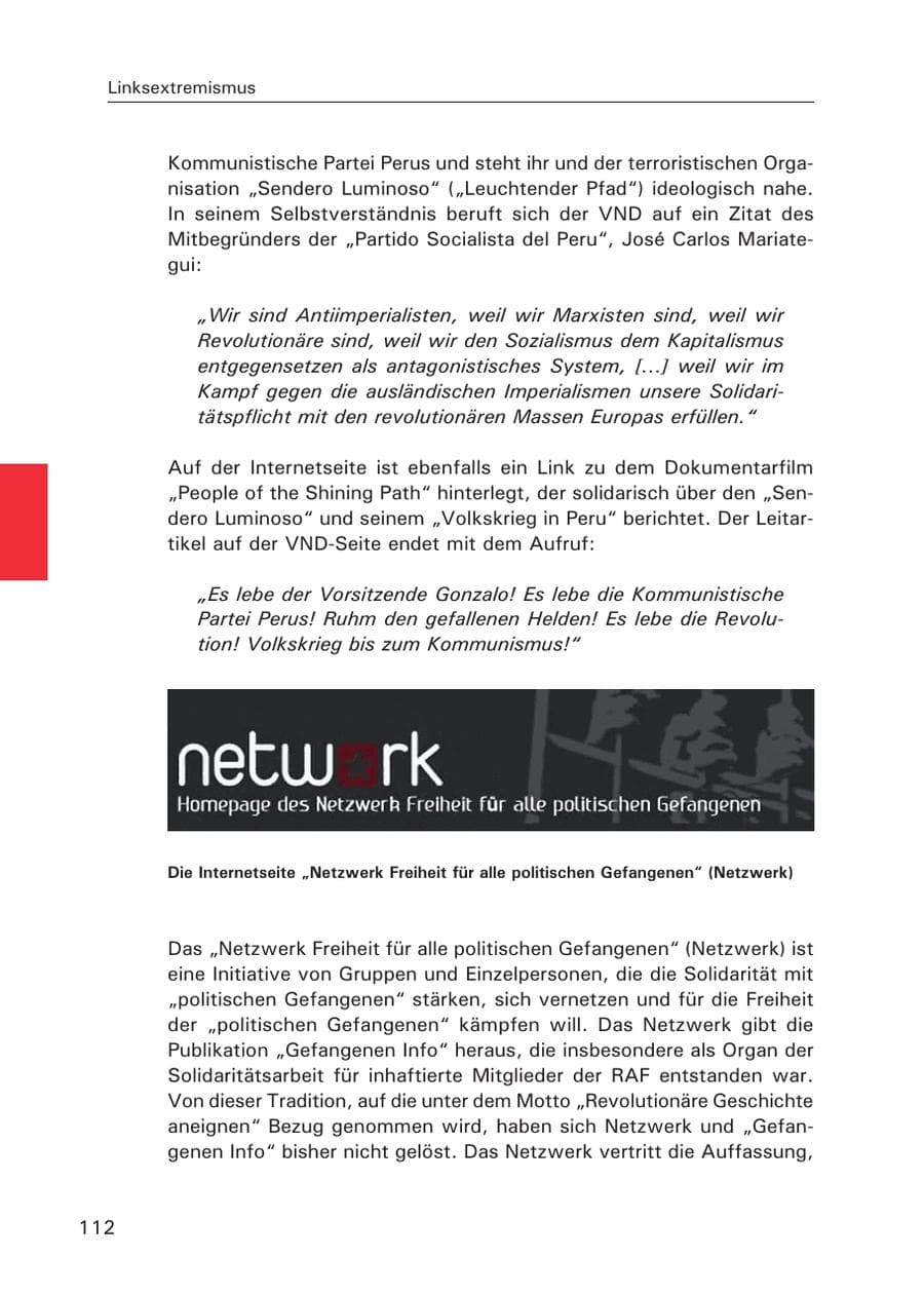 Seite 113 des Verfassungsschutzbericht 2015 Hamburg