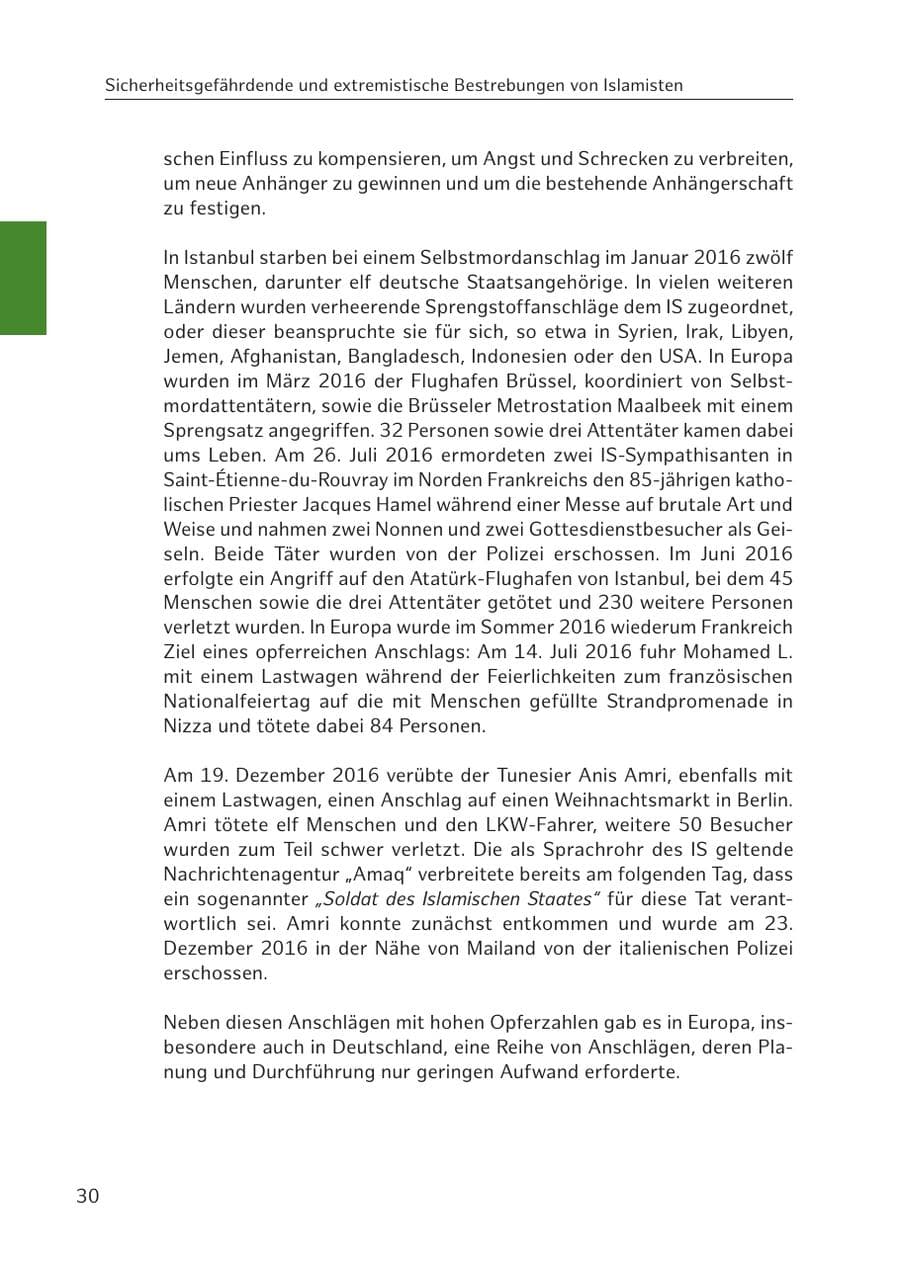 Seite 31 des Verfassungsschutzbericht 2016 Hamburg