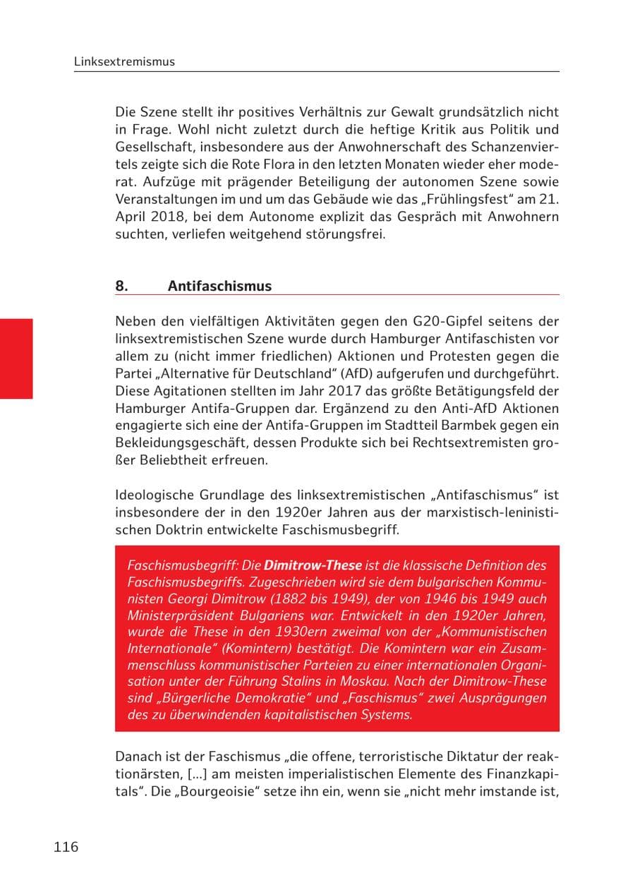 Seite 115 des Verfassungsschutzbericht 2017 Hamburg