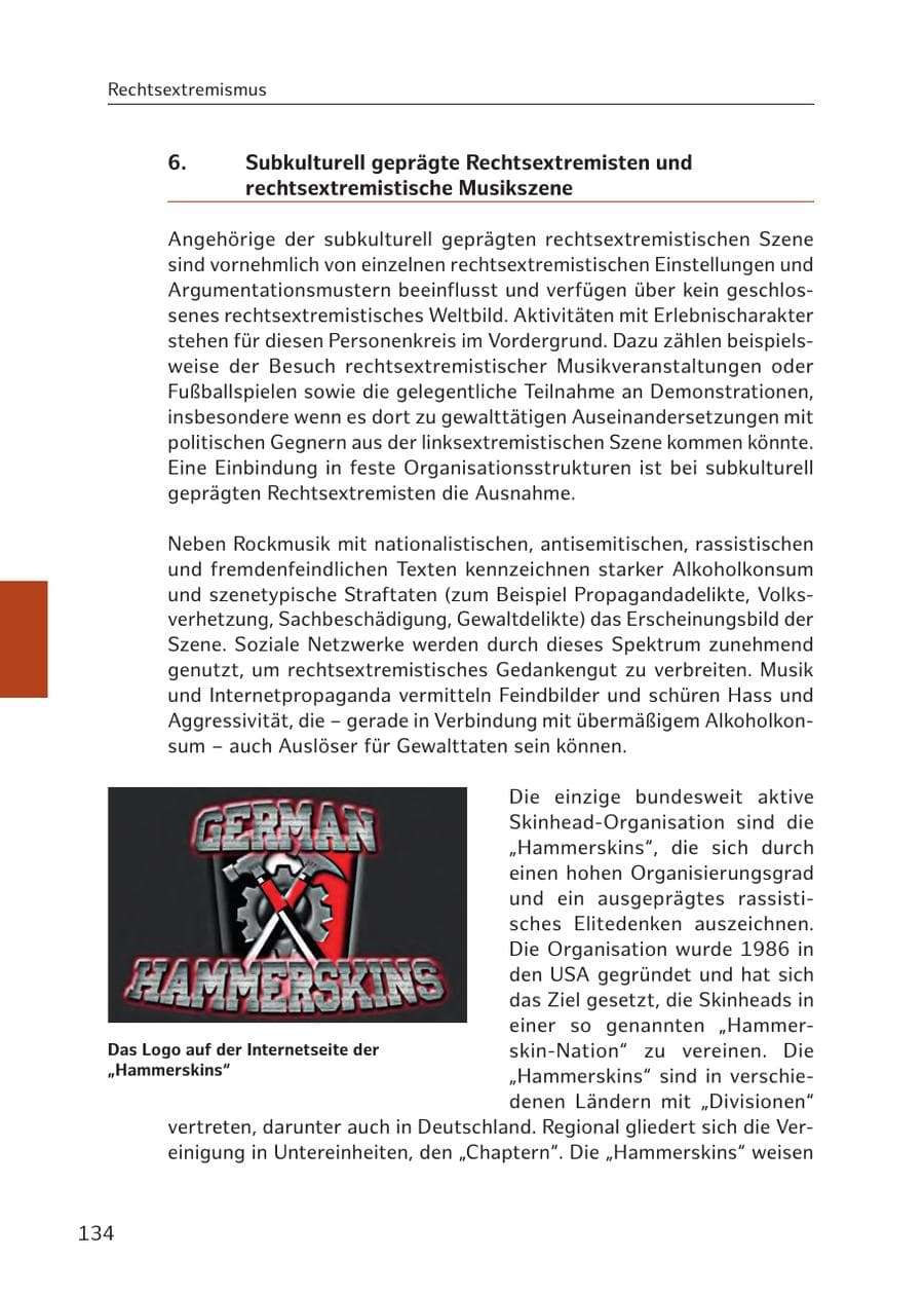 Seite 133 des Verfassungsschutzbericht 2017 Hamburg