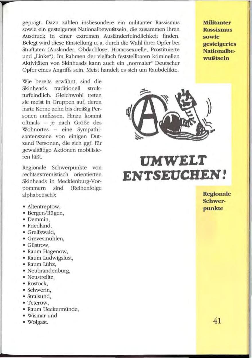 Seite 41 des Verfassungsschutzbericht 1992 Mecklenburg-Vorpommern