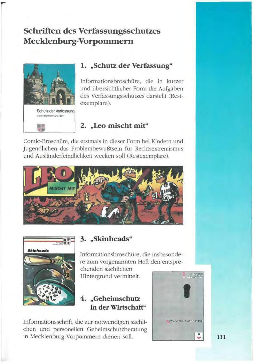 Seite 111 des Verfassungsschutzbericht 1993 Mecklenburg-Vorpommern