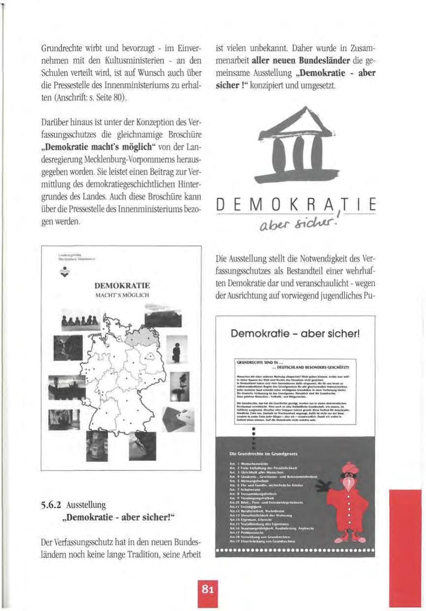 Seite 84 des Verfassungsschutzbericht 1994 Mecklenburg-Vorpommern
