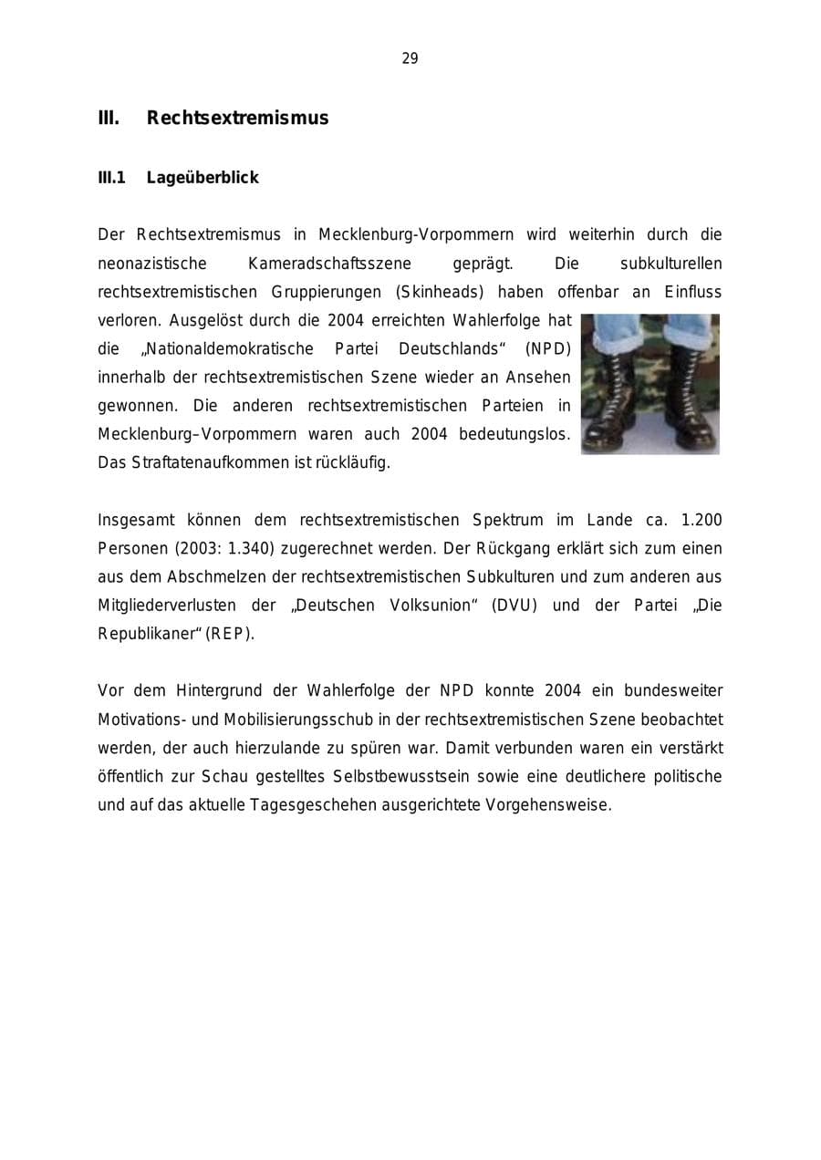 Seite 29 des Verfassungsschutzbericht 2004 Mecklenburg-Vorpommern