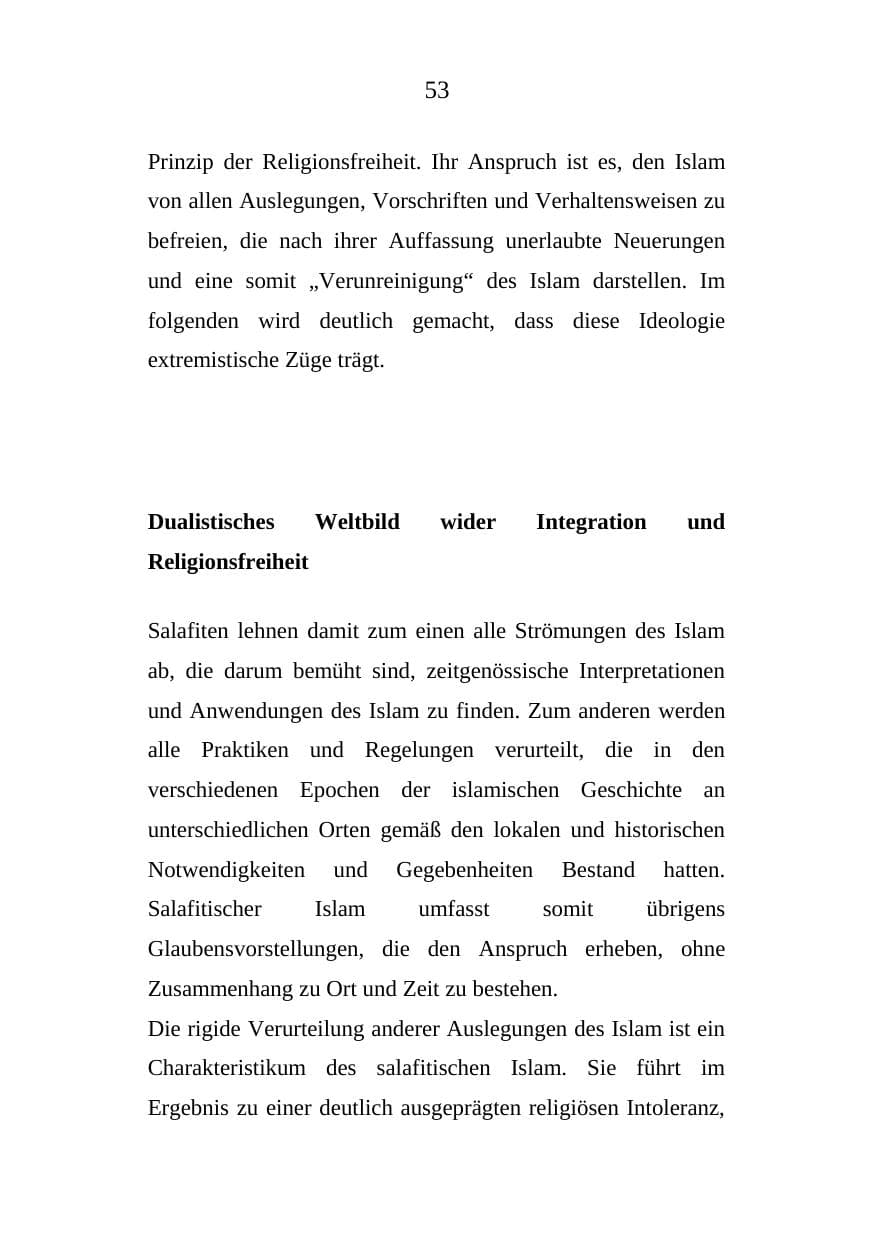 Seite 53 des Verfassungsschutzbericht 2008 Mecklenburg-Vorpommern