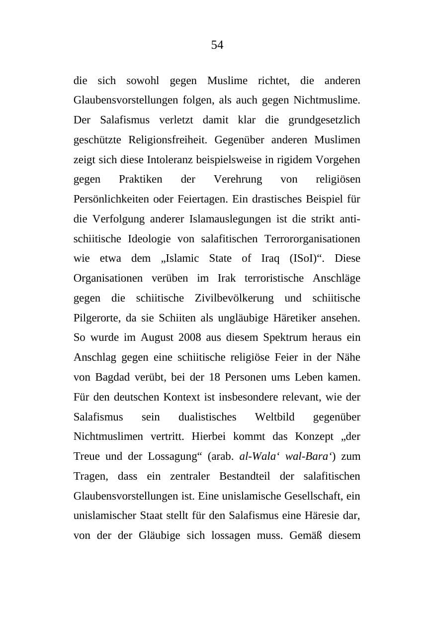 Seite 54 des Verfassungsschutzbericht 2008 Mecklenburg-Vorpommern