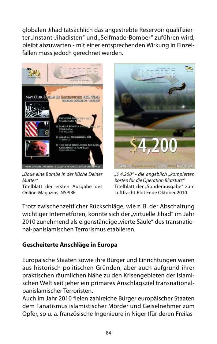 Seite 85 des Verfassungsschutzbericht 2010 Mecklenburg-Vorpommern