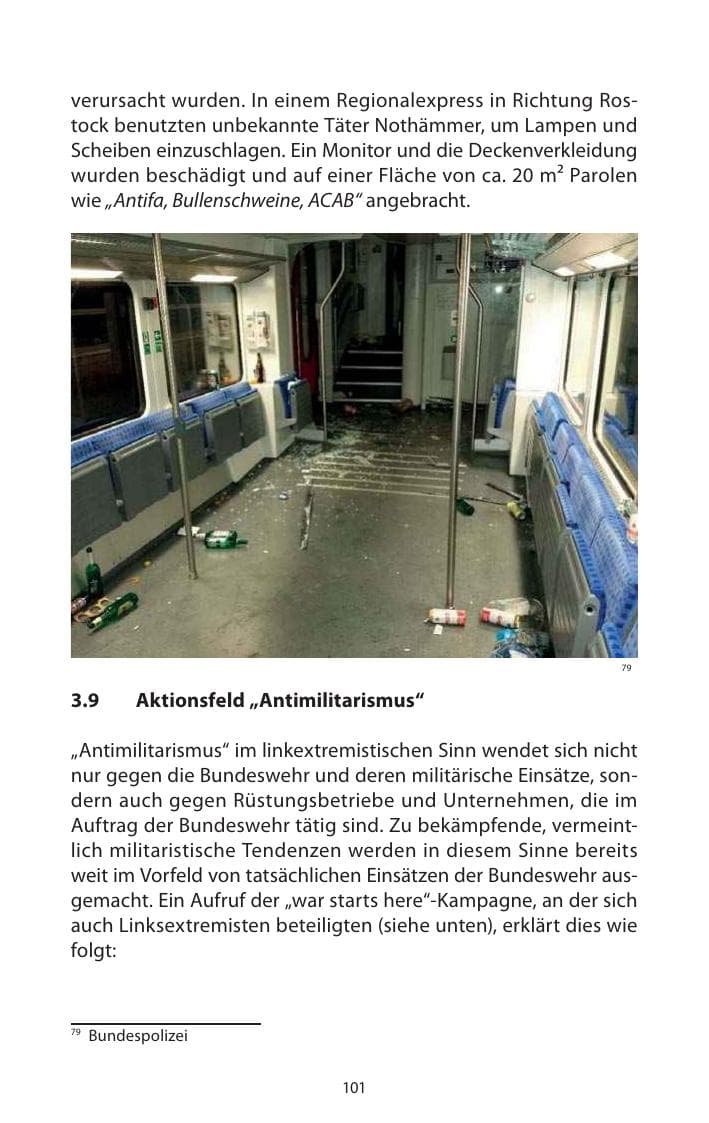 Seite 103 des Verfassungsschutzbericht 2013 Mecklenburg-Vorpommern