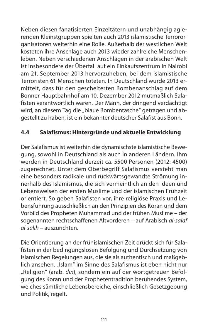 Seite 113 des Verfassungsschutzbericht 2013 Mecklenburg-Vorpommern