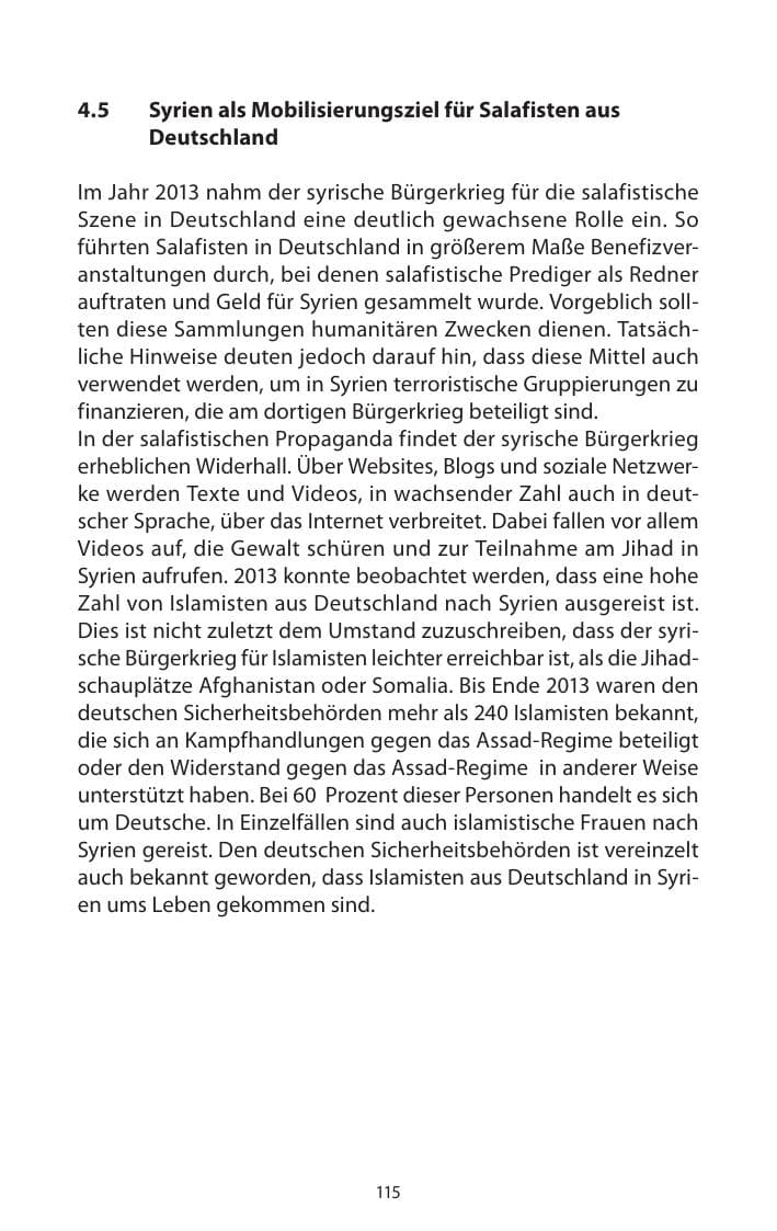 Seite 117 des Verfassungsschutzbericht 2013 Mecklenburg-Vorpommern