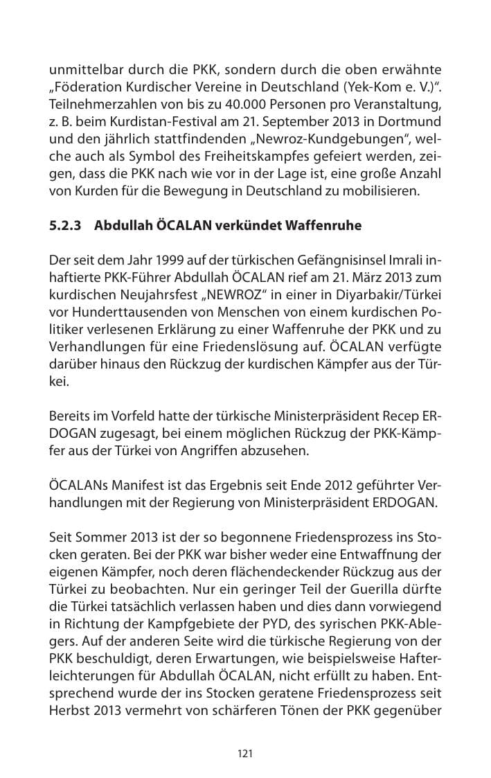 Seite 123 des Verfassungsschutzbericht 2013 Mecklenburg-Vorpommern