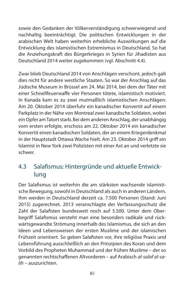 Seite 85 des Verfassungsschutzbericht 2014 Mecklenburg-Vorpommern